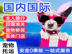 揭阳航空快运国际宠物托运 【国
